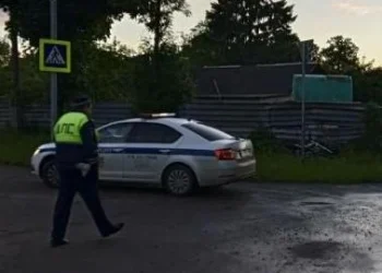 Пять человек пострадали на дорогах Рязанской области за сутки