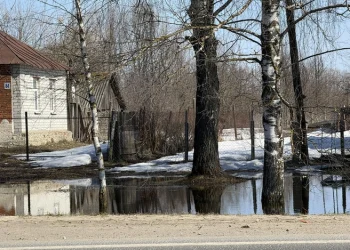 Два низководных моста в Рязанской области освободились от воды