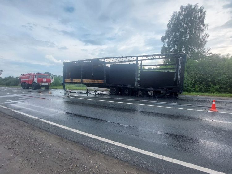 На въезде в рязанское Путятино сгорела фура