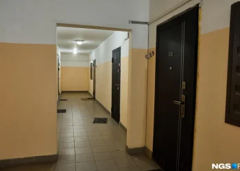 Соседи заплатят за клининг квартиры умершей старушки с кошками Соседи заплатят за клининг квартиры умершей старушки с кошками