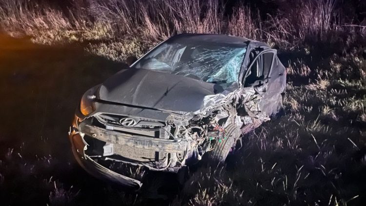 В ДТП в Путятинском районе пострадали три человека, в том числе 11-летний ребенок