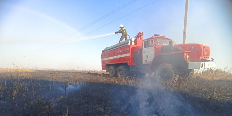 В Спасском районе пожарные локализовали три очага возгорания