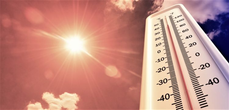 МЧС: с 28 по 31 мая в Рязанской области сохранится высокая пожарная опасность