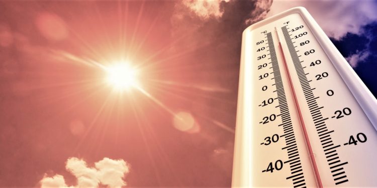 МЧС: с 28 по 31 мая в Рязанской области сохранится высокая пожарная опасность