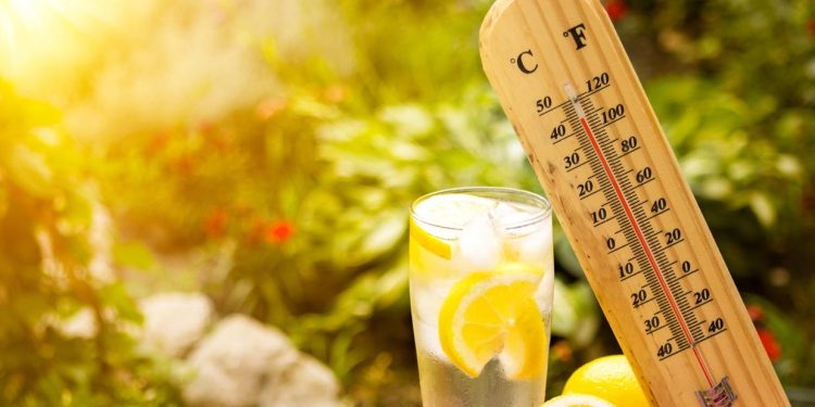 В четверг в Рязанской области потеплеет до +30 градусов