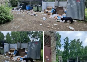 Горы мусора возле дома возмутили жителей Канищева