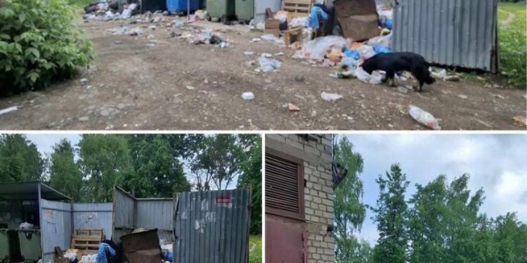 Горы мусора возле дома возмутили жителей Канищева