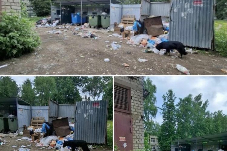Горы мусора возле дома возмутили жителей Канищева