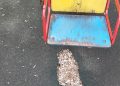 Жители Спас-Клепиков раскритиковали состояние детской площадки