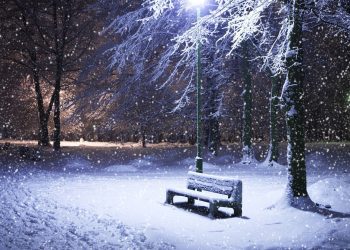 Завтра в Рязанской области - снегопад Завтра в Рязанской области — снегопад